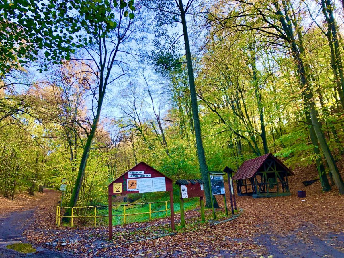 Las Slupski Premium Apartament Nr6 Wifi Netflix Smart Tv50 Two Bedrooms Two Extra Large Double Beds Up To 6 People Full Pleasure Quality Stay (Adults Only) Exteriér fotografie